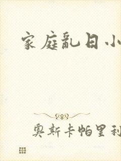 家庭乱日小说