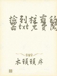 捡到校霸的遥控器txt免费阅读by阳阳封面