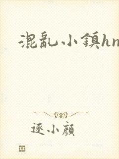 混乱小镇hnp