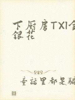 下厨房TXl金银花