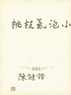 桃枝气泡小说