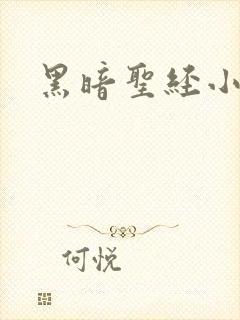 黑暗圣经小说封面
