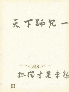 天下师兄一般黑封面