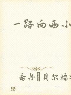 一路向西小说