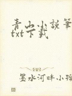 青山小说笔趣阁txt下载