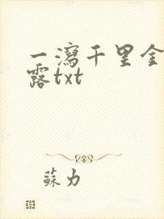 一泻千里金银花露txt