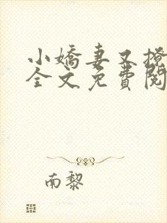 小娇妻又撩又甜全文免费阅读封面