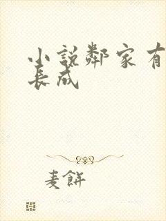 小说邻家有女初长成封面