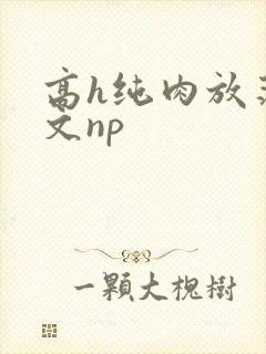 高h纯肉放荡h文np