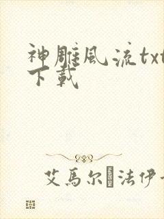 神雕风流txt下载