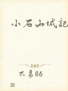 小石山城记封面