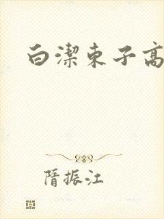 白洁东子高义封面