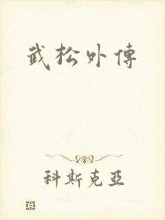 武松外传封面