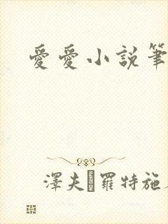 爱爱小说笔趣阁