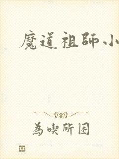 魔道祖师小说