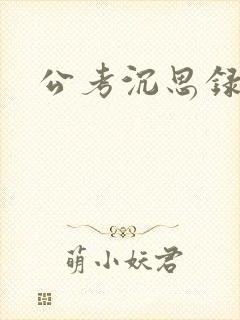 公考沉思录封面