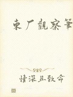 东厂观察笔记封面