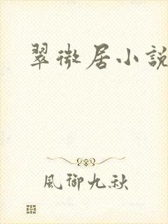 翠微居小说