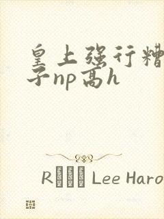 皇上强行糟蹋太子np高h
