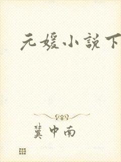 元媛小说下载封面