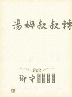 汤姆叔叔转接口