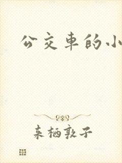 公交车的小说