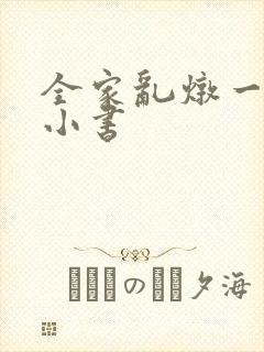 全家乱炖一锅烩小书