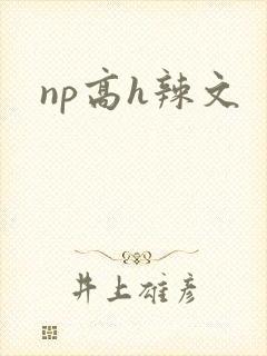 np高h辣文