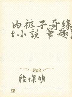 内裤子奇缘txt小说 笔趣阁封面
