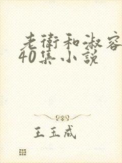 老卫和淑容1-40集小说