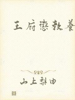 王府惩教养日常