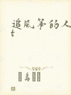 追风筝的人txt
