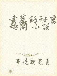 黄蓉的秘密 笔趣阁 小说