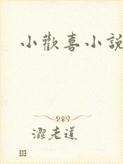 小欢喜小说封面