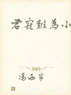 君宠难为小说