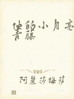他的小月亮by青藤