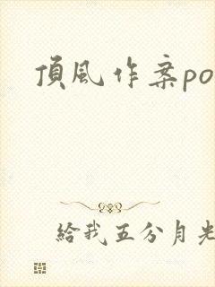 顶风作案po封面
