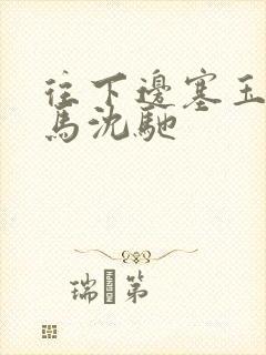 往下边塞玉器骑马沈驰封面