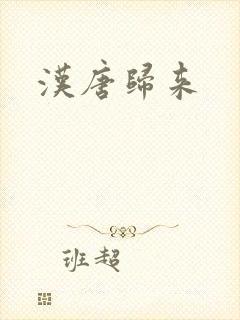 汉唐归来封面