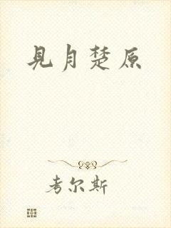 见月楚原封面