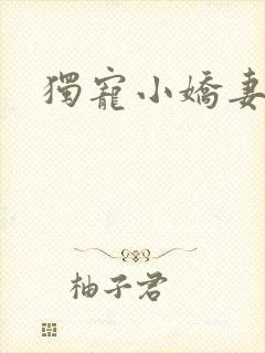 独宠小娇妻
