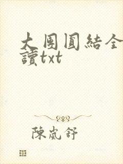 大团圆结全文阅读txt