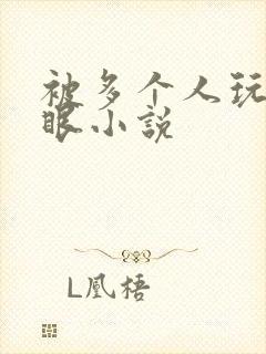 被多个人玩屁股眼小说封面