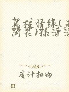 驾校情缘(老树开花)孙潇潇笔趣阁