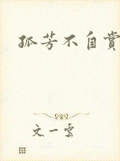 孤芳不自赏小说