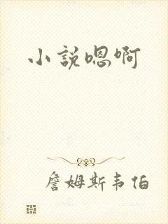 小说嗯啊