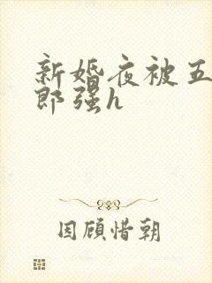 新婚夜被五个伴郎强h封面
