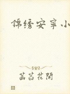 锦绣安宁小说