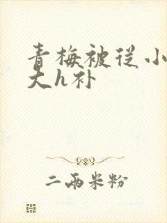 青梅被从小摸到大h补