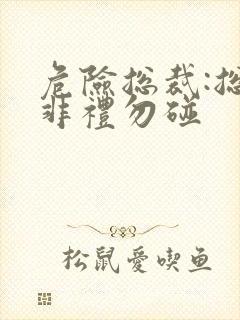 危险总裁:总裁非礼勿碰封面